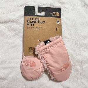 The North Face Mittens